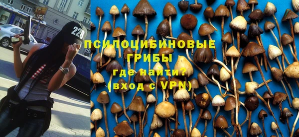ГАЛЛЮЦИНОГЕННЫЕ ГРИБЫ Баксан