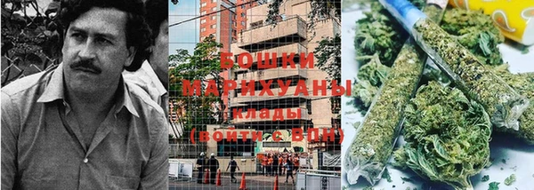 ГАЛЛЮЦИНОГЕННЫЕ ГРИБЫ Баксан