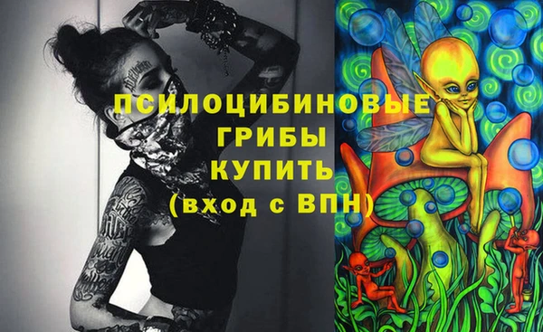 ГАЛЛЮЦИНОГЕННЫЕ ГРИБЫ Баксан