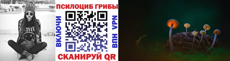 Галлюциногенные грибы Psilocybe  мега маркетплейс  Разумное 